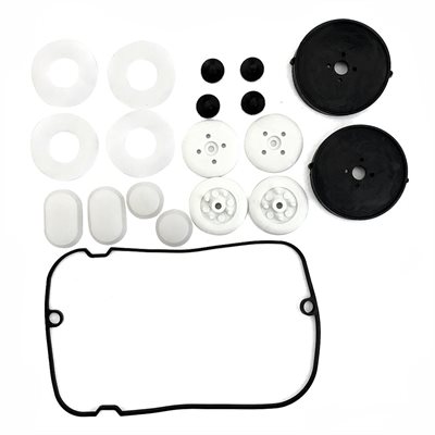 DIAPHRAGM KIT FOR AP 40 (1)