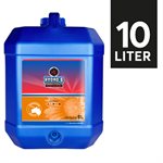 CX HORTICULTURE HYDRO BASE B 10L (1)