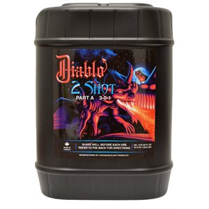 DIABLO 2 SHOT A 20L (1)