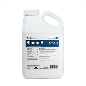 ATHENA BLOOM B 3.78L (1)