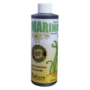 RUBICON ORGANIC MARINIS 250ML (1)