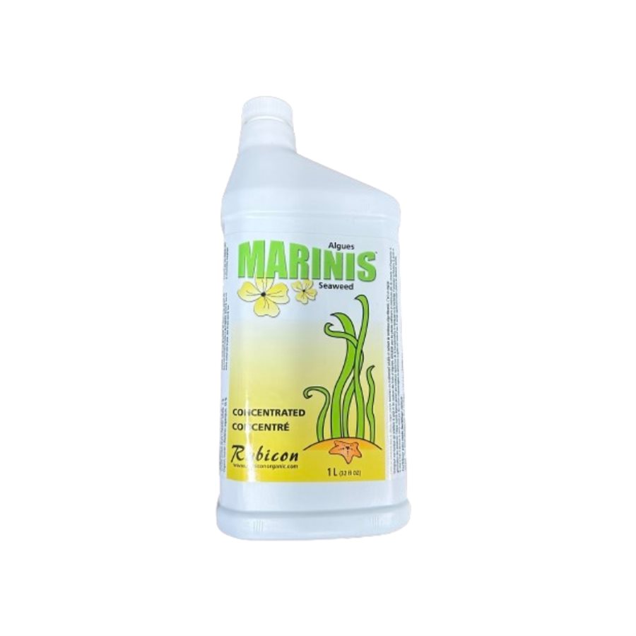 RUBICON ORGANIC MARINIS 1L (1)