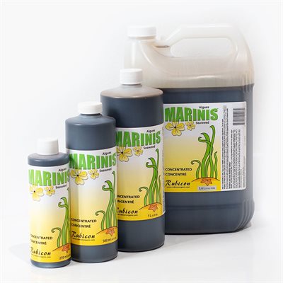 RUBICON ORGANIC MARINIS 20L (1)