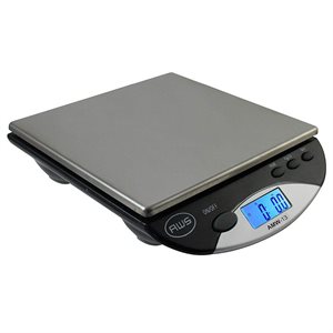 AWS AMW-13 BENCH SCALE 6000 X 1G (1)