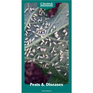 CANNA INFO PAPER PESTS & DISEASES (25)